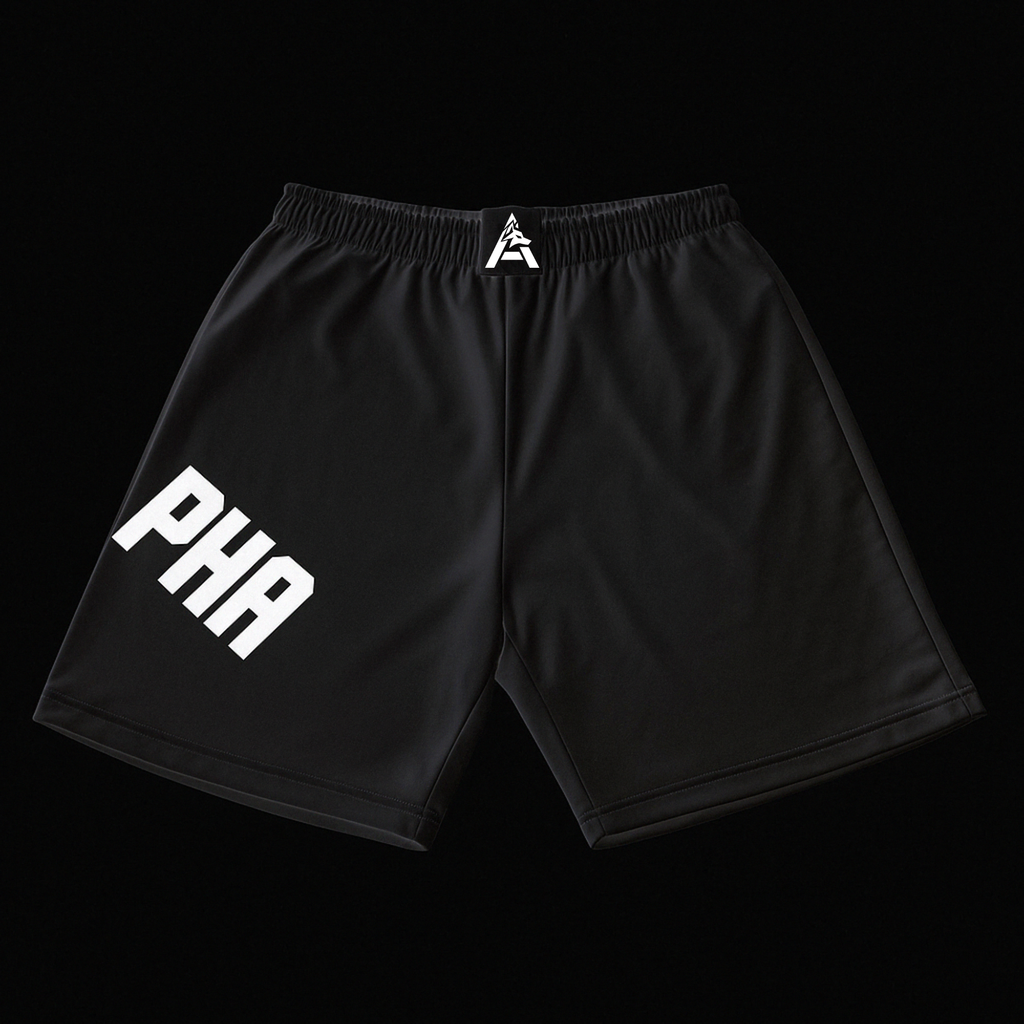 Alpha - Hybrid 2 in 1 Shorts