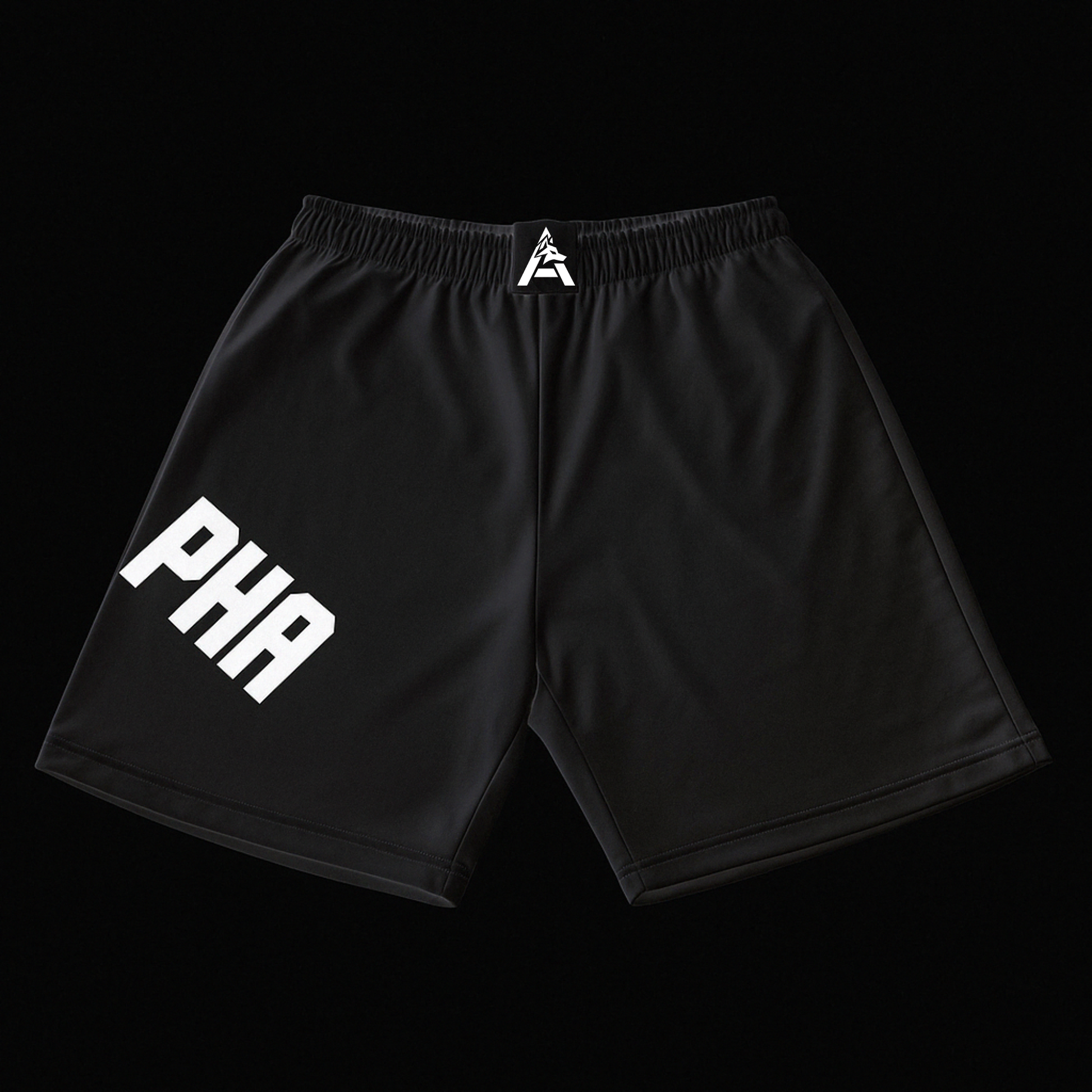 Alpha - Hybrid 2 in 1 Shorts